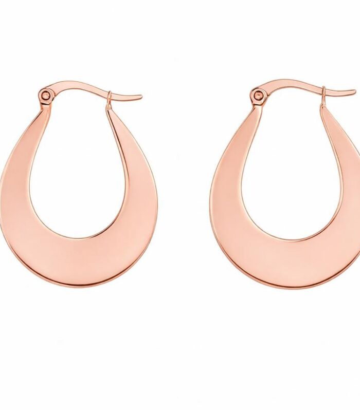 Gold earrings
